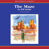 The_maze